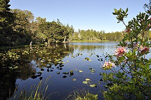 New River Area of ​​Critical Environmental Concern, Oregon (15485580260) .jpg