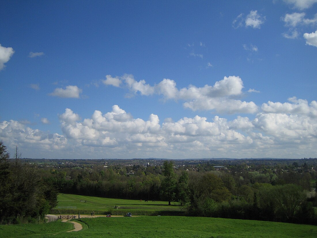 Première bataille de Newbury