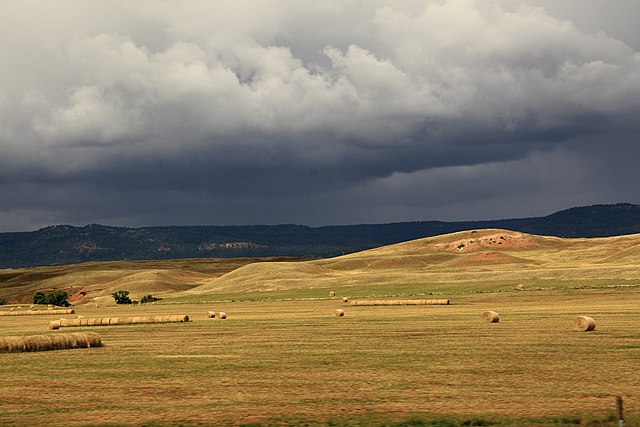 Hay fields and scenery, North of Deadwood