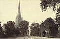 Norwich. Cathedral and Ruins (3611586496).jpg