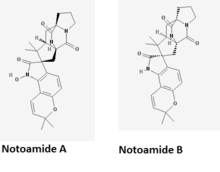 Notoamide A and B Notoamide A&B.png