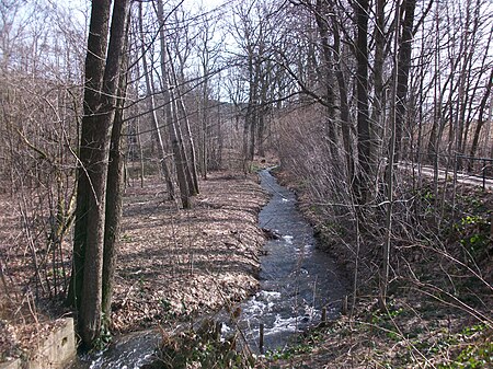 Oberer Querenbach (5)