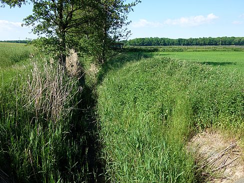 Die Ohe und der Losebach 489px-OhebachNord