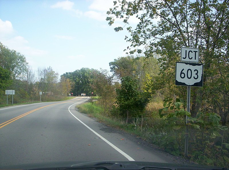 File:Ohio 430 eastern terminus at Ohio 603 - panoramio.jpg