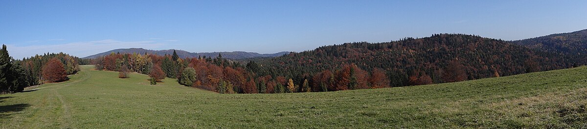 Panorama widokowa z litmanowskich łąk na Beskid Sądecki, Gromadzką Przełęcz, Okrúhlę i Eliaszówkę