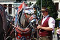 Brewery-carriage coachman with horse