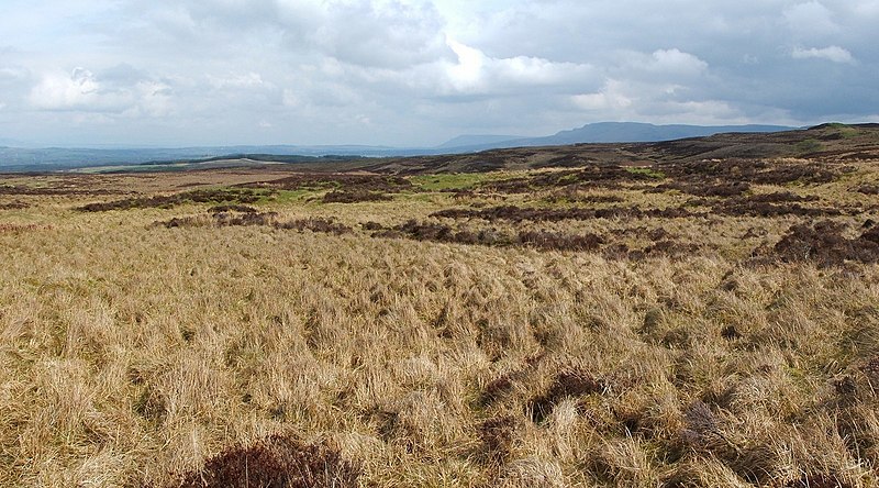 File:Open moorland - geograph.org.uk - 2369164.jpg