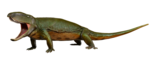 Ophiacodon retroversus.png