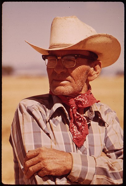 File:Owner-harlar-prine-looking-over-his-wheat-field-on-the-edge-of-the-colorado-river-in-the-palo-verde-valley-may-1972 7136320381 o.jpg