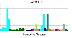 PBB GE FANCG 203564 ĉe tn.png