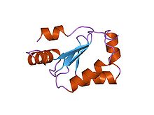 PDB 1кте EBI.jpg