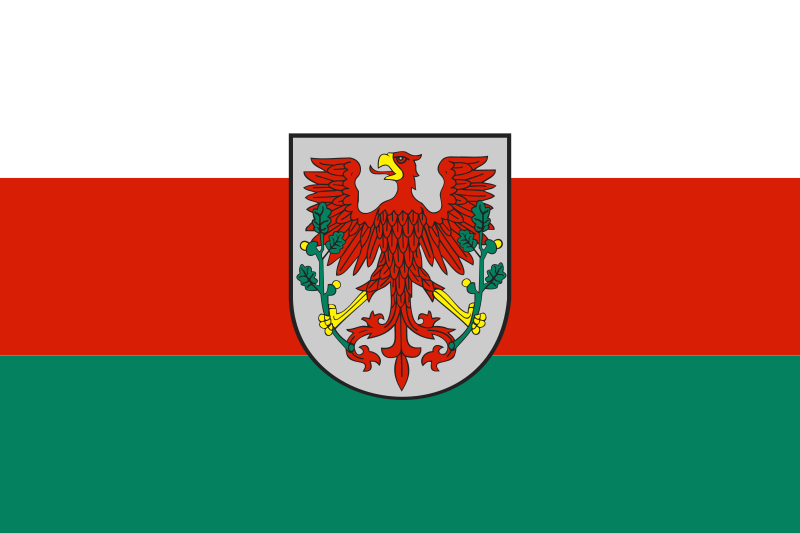 File:POL Choszczno flag.svg