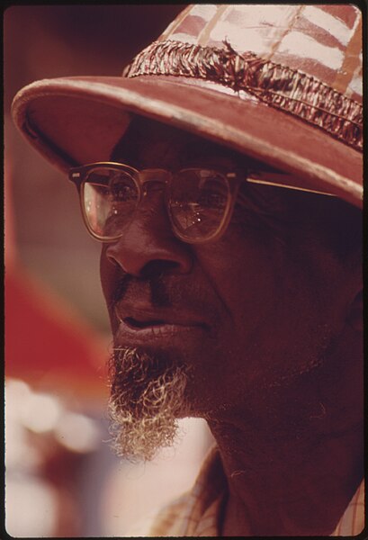 File:PRICE ALLEN, THE "PEANUT MAN", A SIDEWALK VENDOR ON CHICAGO'S SOUTH SIDE. HE IS ONE OF THE NEARLY 1.2 MILLION BLACK... - NARA - 556133.jpg