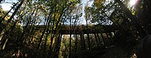 view upward from a gravel trail in a ravine of a concrete bridge level with the tree canopy