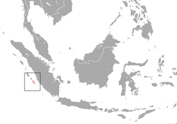 Distribución del macaco de la isla Pagai.