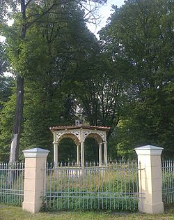 Park w zespole pałacowym w Niewodnikach. Gmina Dąbrowa. bertzag (2).jpg