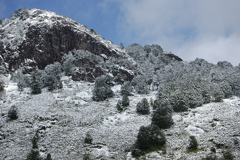 File:Parque Nacional Lanin (3576842819).jpg