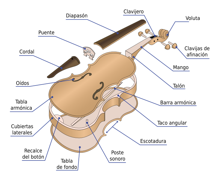 File:Partes del Violin.svg