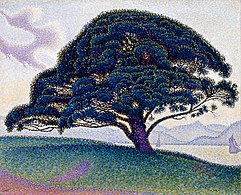 Paul Signac, 1893, The Bonaventure Pine, oil on canvas, 65.7 x 81 cm, Museum of Fine Arts, Houston.jpg