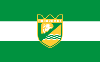 Flag of Pazardzhik