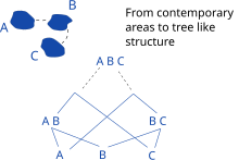 In biogeography, a tree like structure can be constructed to account for the possible migrations between different geographical areas. Phylogenetic reconciliation and geography.svg