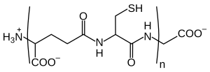 Chemical structure of phytochelatin. n = 2-11. Phytochelatin.svg