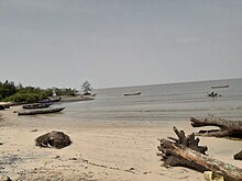 Beach of Tayaki Plage de Tayaki avec des bois mort.jpg