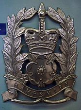 Police helmet badge Hampshire Police