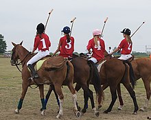 Girls and their horses preparing for a polo game PoloGirlsHorses.jpg