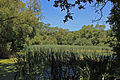 Čeština: Rybník mezi Starým Kramolínem a Mutěnínem English: A pond between Starý Kramolín and Mutěnín, Czech Republic.