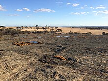 Puntapin Rock facing east Puntapin Rock facing east.jpg