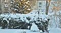 Quand l'hiver se pointe...Snow fall in our backyard... - panoramio.jpg