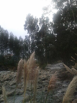 <span class="mw-page-title-main">Yanuncay River</span> River in Ecuador