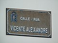 Vicente Aleixandre Rúa