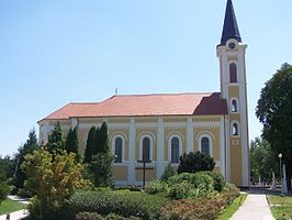 Katholieke kerk