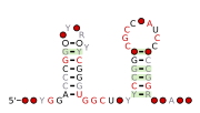 Thumbnail for Sul1 RNA motif