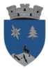 Wappen von Borșa