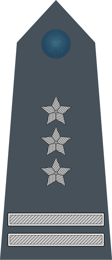 ไฟล์:Rank_insignia_of_pułkownik_of_the_Air_Force_of_Poland.svg