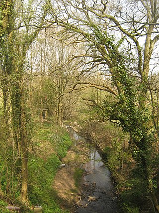 <span class="mw-page-title-main">River Bewl</span> River in Sussex and Kent, England