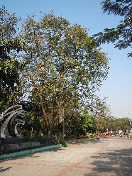 File:RizalParkjf8109 06.JPG