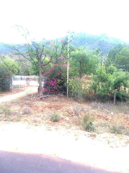 File:Road side View 3.jpg