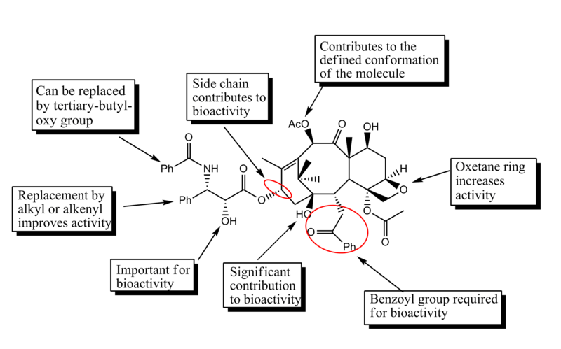 File:SAR of Palitaxel analogous.png