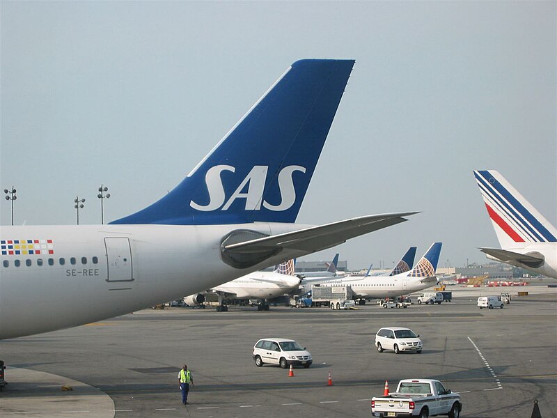 Fil:SAS A330-300 tail.jpg