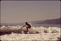 SURFING ALONG MALIBU BEACH, CALIFORNIA - NARA - 544964.jpg
