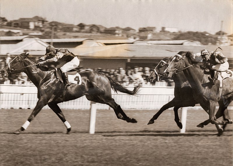 File:San Domenico 1949 AJC Challenge Stakes Jockey Arthur Ward Trainer Ray Formosa.jpg