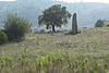 Sardinien menhir vor tortoli.jpg