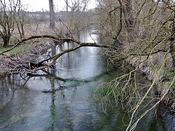 Schwarzach - panoramio.jpg