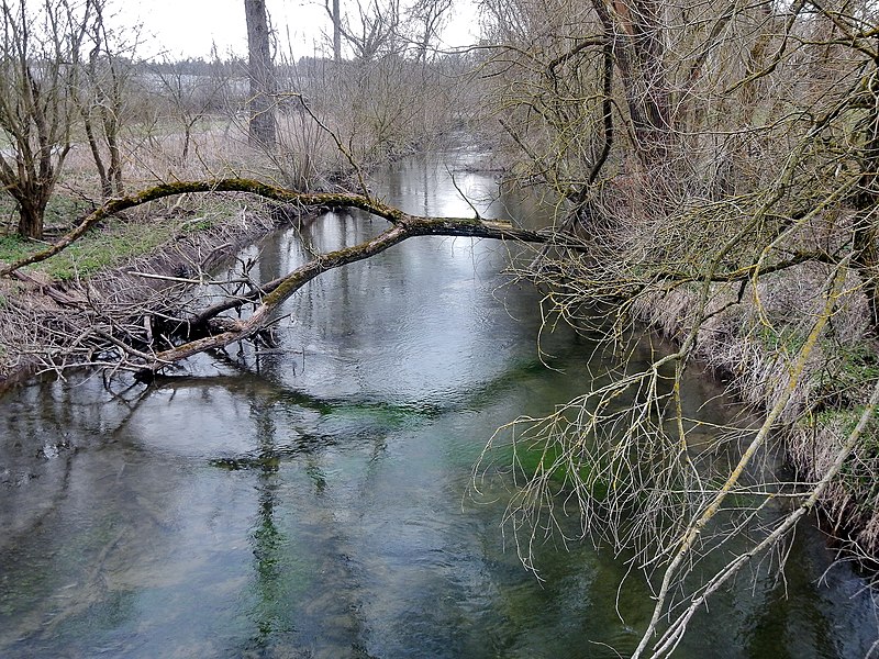 File:Schwarzach - panoramio.jpg