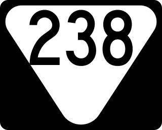 <span class="mw-page-title-main">Tennessee State Route 238</span> State highway in Tennessee, United States