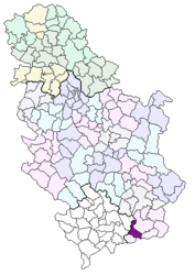 Bujanovac - Karta